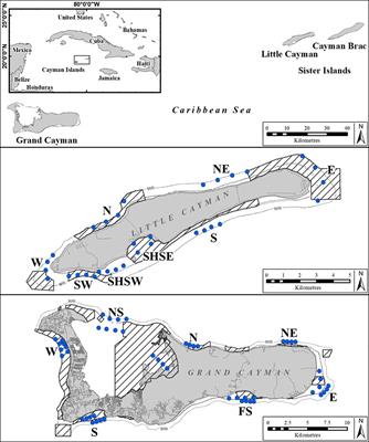 First estimates of population size and home range of Caribbean reef and nurse sharks using photo-identification and BRUVS